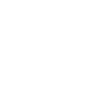 Company beeldmerk logo